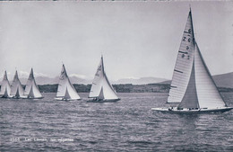 Régates Sur Le Léman (2566) - Water-skiing