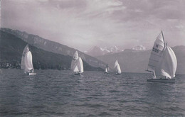 Régates Sur Le Lac De Thoune (2933) - Sci Nautico