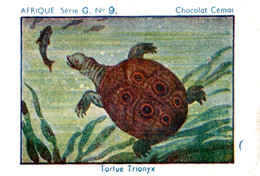 Chromo Chocolat Cémoi, Afrique Série G. N°9 : Tortue Trionyx - Altri