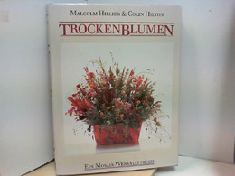 Trockenblumen , Ein Mosaik - Werkstattbuch - Tecnica