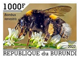 Burundi 2022, Animals, Bee, 1val IMPERFORATED - Ungebraucht