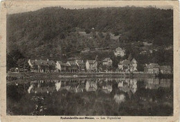 Delcampe - - CPA  - Profondville-sur-Meuse - Les Vignobles - - Profondeville