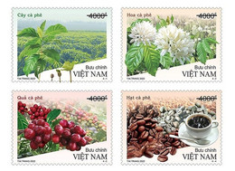 Set Of 4 Vietnam Viet Nam Maxi Maxicards Issued On Feb 22, 2022 : COFFEE TREE / Pjant / Flora / Fruit (Ms1155) - Vietnam