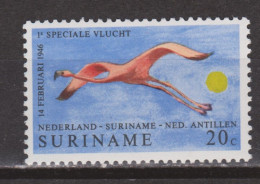 Suriname MNH ; Flamingo Flamant Flamenco Vogel Bird Ave Oiseau - Flamingos