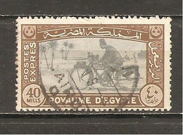 Egipto - Egypt. Nº Yvert  Urgente 4 (usado) (o) - Used Stamps