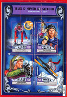 A1371 - NIGER - ERROR, MISPERF STAMP SHEET, 2014: Sochi Winter Olympics, Biathlon, Snowboarding - Winter 2014: Sochi