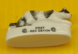 Fève Atlas -  Chat Rex Devon - Dieren