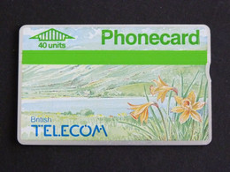 TELECARTE BRITISH TELECOM PHONECARD 40 UNITS - JONQUILLES FLEUR FLOWER BLUME - BT Emissioni Pubblicitarie