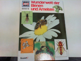 Wunderwelt Der Bienen Und Ameisen - Animals