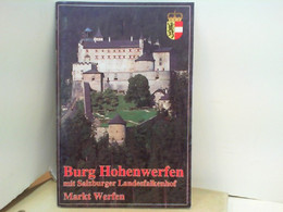 Burg Hohenwerfen Mit Salzburger Landesfalkenhof - Markt Werfen - Sonstige & Ohne Zuordnung