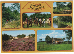 Groeten Uit Rijssen (OV.) - (Nederland / Holland)  - 733 - Natuur, Dieren, Boerderij - Rijssen