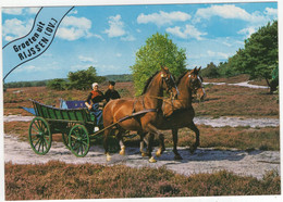 Groeten Uit Rijssen (OV.) - (Nederland / Holland)  - Nr. 662 - Paard En Wagen Over De Heide - Rijssen