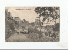 RABASTENS (TARN) VIEUX MOULIN (BERGER AVEC  TROUPEAU ET CHIENS ) 1915 - Rabastens