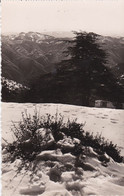 CPSM CHREA  LES PAS SUR LA NEIGE - Blida