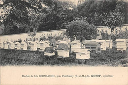 77 PONTHIERRY - Rucher De LA BERNAUCHE  - Mr GUIOT, Apiculteur - Saint Fargeau Ponthierry