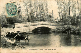 Bagneaux * Vue Sur Le Pont De Pierre * Abreuvoir - Sonstige & Ohne Zuordnung