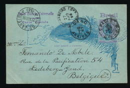 BRESIL 1896  TO LEDEBERG GAND  BELGIQUE        2 SCANS - Storia Postale