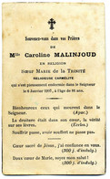 Décès - Souvenez Vous De Melle C. Malinjoud : Soeur Marie De La Trinité, Carmélite DCD 07.01.1907 - Todesanzeige