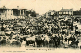 Bressuire * Le Champ De Foire * Place * Marché Aux Boeufs Bestiaux * Marchands - Bressuire