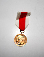 RARE ANCIEN INSIGNE MEDAILLE DECORATIVE - POLOGNE MERITE POUR LA DEFENSE DU PAYS              (220122.6) - Frankreich