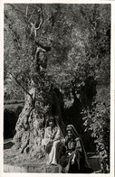 Israel Palestine, JERUSALEM, Ramallah Women In Garden Of Gethsemane (1953) RPPC Postcard - Israel