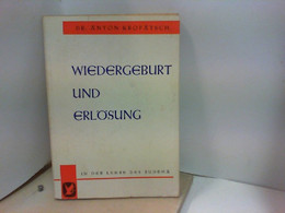 Wiedergeburt Und Erlösung  In Der Lehre Des Buddha - Sonstige & Ohne Zuordnung