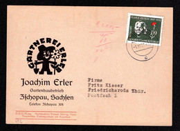 DDR Postkarte ZSCHOPAU - Friedrichsroda - 1.11.58 - Mi.592 Gartenbaubetrieb - 100.Geb. Clara Zetkin - Cartas