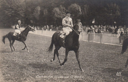 CPA (hippisme)  OPTIMIST Monté Par O NEILL     (btheme2) Carte Photo - Hippisme