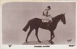 CPA (hippisme)   FARNESE SEMBLET (btheme2) Carte Photo - Hippisme