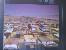 PINK FLOYD - A Momentané Lapse De Reason (1000 Pièce Puzzle) Neuf - Objets Dérivés