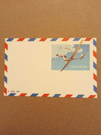 Entier Postal Des États Unis : Avion Planeur - 1981-00