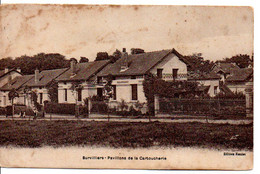 Carte Postale Ancienne Survilliers - Pavillons De La Cartoucherie - Survilliers