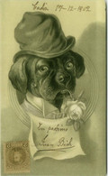 1900s EMBOSSED POSTCARD - DRESSED DOG & ROSE (BG2480) - Dogs