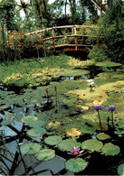 Papiliorama Tropical Garden - Marin-Neuchatel * 4. 6. 1992 - Marin