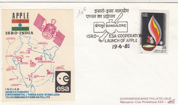 APPLE ISRO-INDIA.  2 STAMPS BACK - Other & Unclassified