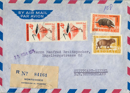 1971  URUGUAY ,  CERTIFICADO , MONTEVIDEO - STUTTGART , VIA AÉREA , FAUNA URUGUAYA , AVES , BIRDS - Uruguay