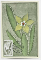 IFNI CARTE MAXIMUM FLEURS FLOWER SIDI IFNI 1957 - Ifni