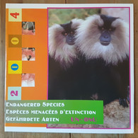 Vereinte Nationen Jahresmappe 2004 Mit Einigen Marken Gefährdeter Tiere Postfrisch - Autres