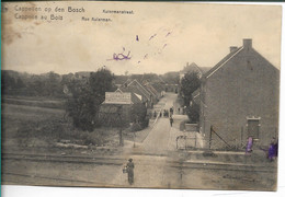 Kapelle Op Den Bos: Kulermanstraat - Kapelle-op-den-Bos