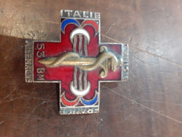 Insigne Du 53 BM Tres Bon Etat - Medicina