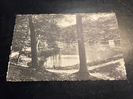 Forêt De Soignes La Mare Aux Canards Carte Provenant De La Succession Du Photographe Fassotte PBL - Ukkel - Uccle