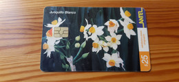 Phonecard Uruguay - Flower - Uruguay