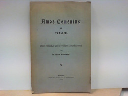 Amos Comenius Als Pansoph - Eine Historisch - Philosophische Untersuchung - Philosophie