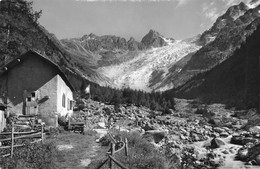 Pavillon Du Glacier Du Trient Les Ecandies Et La Pte. D'Orny - Trient