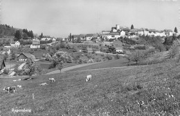 Rengensberg - Enge