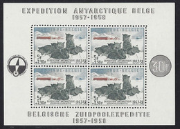 Zuidpoolexpeditie-Expédition Antartique - Blocks & Sheetlets 1924-1960