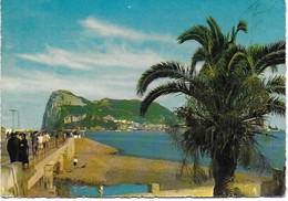 Rock Of Gibraltar From The Buy - Gibraltar