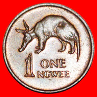 * GREAT BRITAIN (1982-1983): ZAMBIA ★ 1 NGWEE 1983 ANTEATER! LOW START ★ NO RESERVE! - Zambie