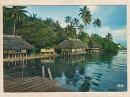 22C11 ILE DE TAHAA VILLAGE JUNGLE DE TIVA - Polynésie Française