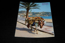 39900-                     SPAIN,  ROSAS, COSTA BRAVA, BURRO - Burros